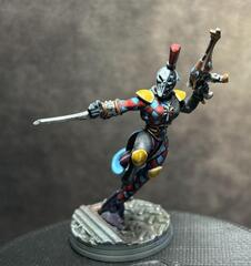 Harlequin Player